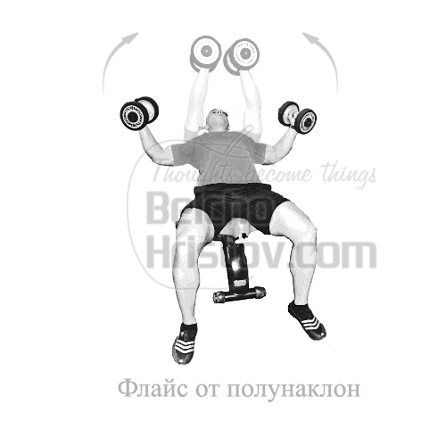 Флайс с дъмбели от полулег