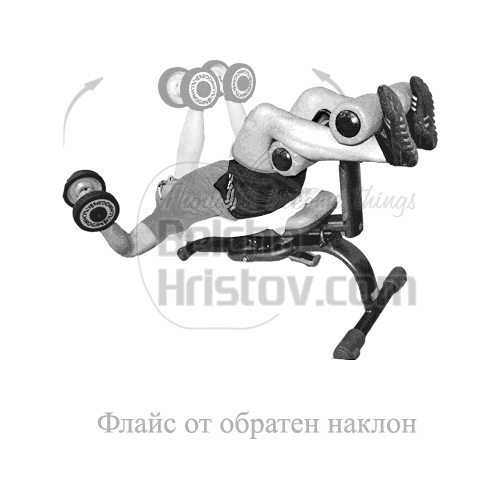Флайс от обратен наклон с дъмбели