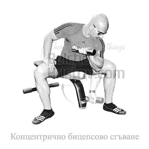 Концентрично сгъване за бицепс