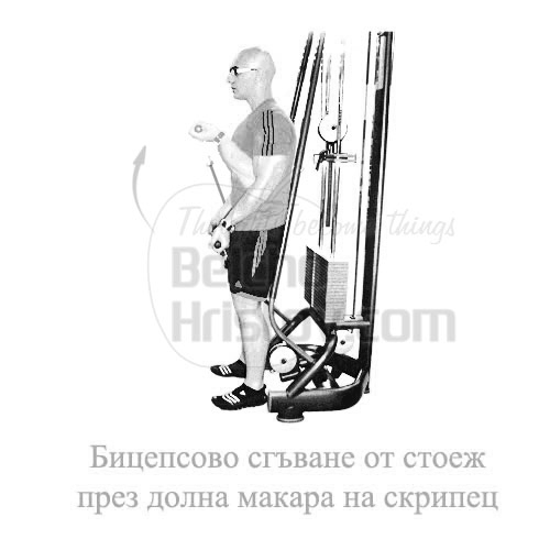Бицепсово сгъване на машина през долна макара