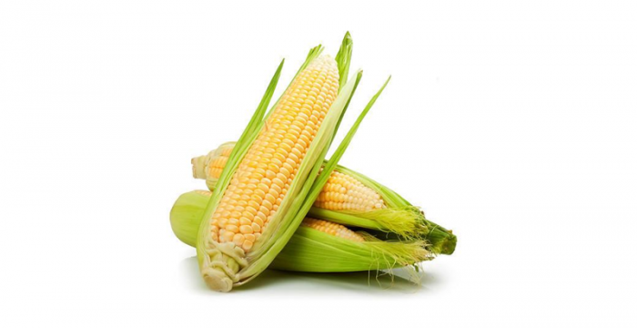 Царевица | Corn – състав, калории, рецепти и приложение в диетите