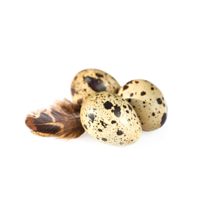 Яйце от пъдпъдък | Quail egg – състав, калории, рецепти и приложение в диетите