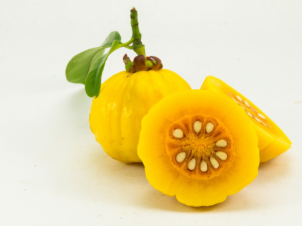 garcinia