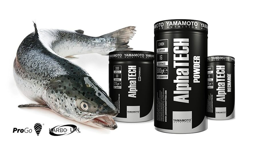 alpha_yamamoto_nutrition